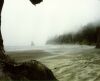 Fog Thumbnail