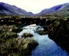 Moor Thumbnail